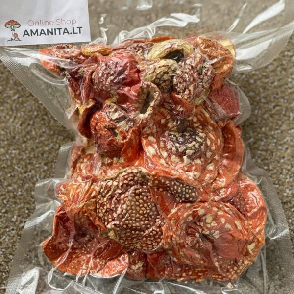 10 Ounces (300 grams) - Dried Amanita Muscaria (Fly Agaric)