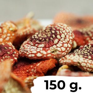 5 Ounces (150 grams) - Dried Amanita Muscaria (Fly Agaric)