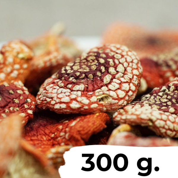 10 onces (300 grammes) - Amanita Muscaria séchée (agaric mouche)