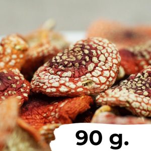 3 Ounces (90 grams) - Dried Amanita Muscaria (Fly Agaric)