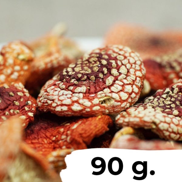 3 Onces (90 grammes) - Amanita Muscaria séchée (agaric mouche)