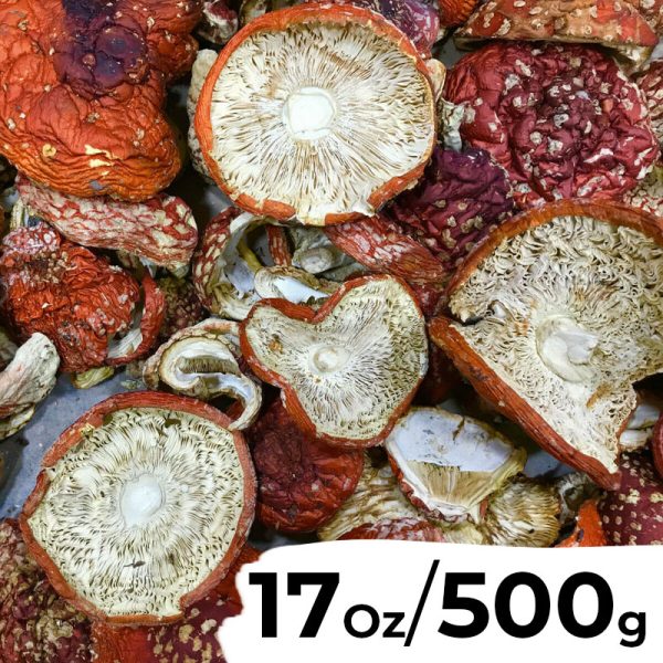 17,7 onzas (500 gramos) - Amanita Muscaria seca (Agarico de mosca)