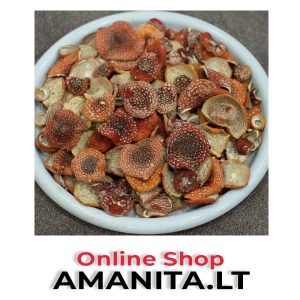 17.7 Ounces (500 grams) - Dried Amanita Muscaria (Fly Agaric)