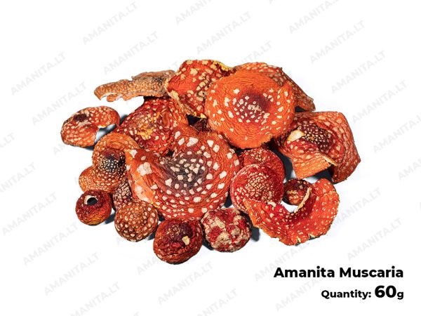 Dried Amanita Muscaria Hats