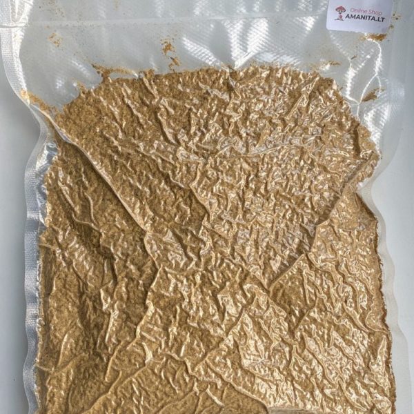 1.1 lbs (500 gramos) - Amanita Regalis seca en polvo