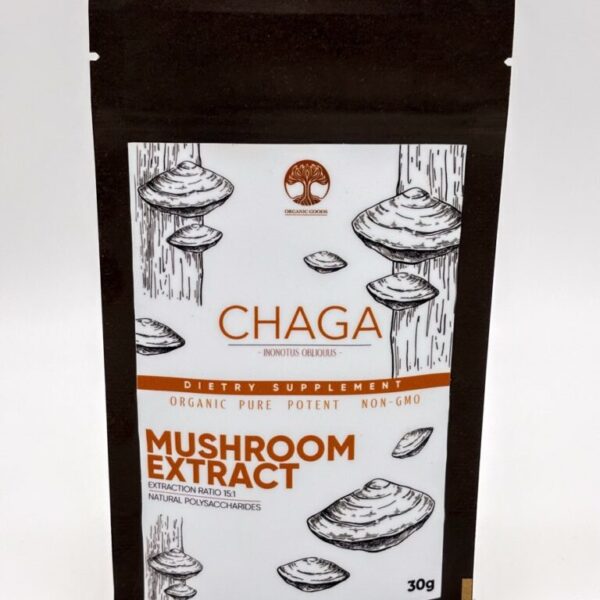 Extracto de hongo chaga