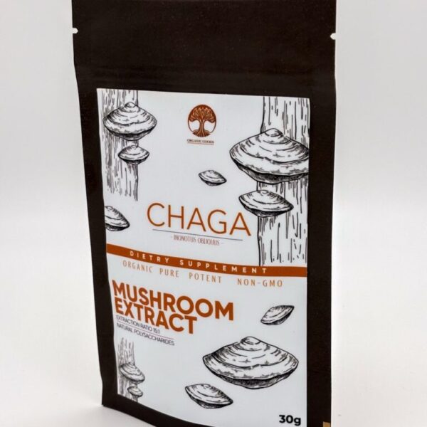 Extracto de hongo chaga